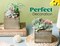 2 Pack Artificial Cactus & Succulent Small Potted Plants in Wooden Pots with Pink Flowers – Faux Desk Plants for Farmhouse Bathroom, Home, Office & Room Decor